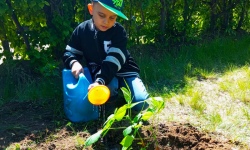 Посадим деревья – оставим память